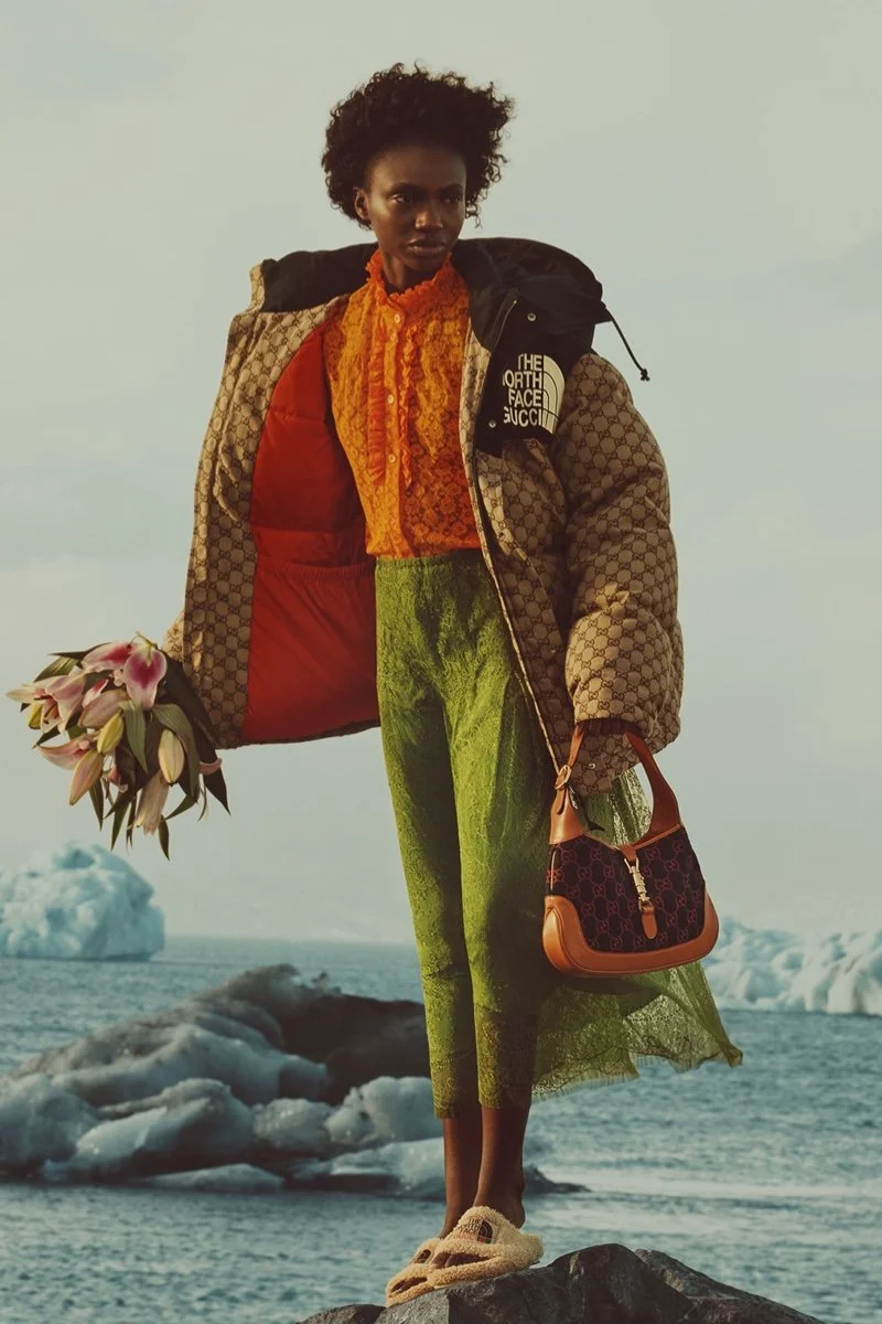 The North Face X Gucci Drops Big Performance a Second Time Anne of Carversville